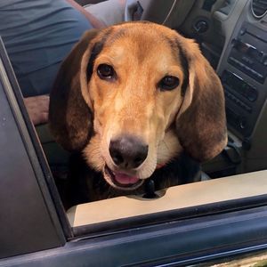 Meet your Posher, Jenn